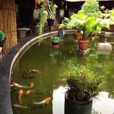 Không gian- Elip Cafe