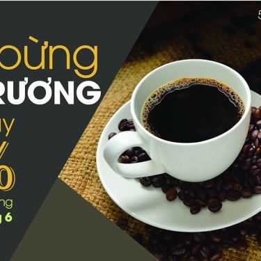 Tổng hợp- Hà Vy Coffee