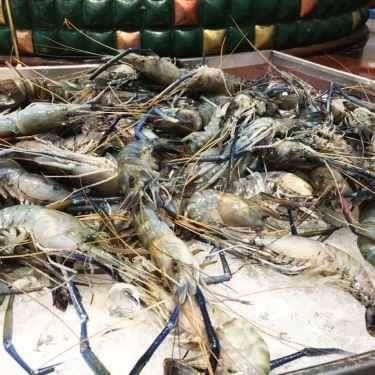 Professional- Tiệm Bánh Buffet Windsor - Cafe Central An Dong - Windsor Plaza
