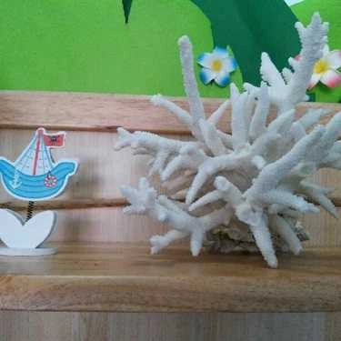 Tổng hợp- Cafe Aloha Quán - Xô Viết Nghệ Tĩnh