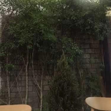 Tổng hợp- Cafe AMA Kafé - Ngô Tất Tố