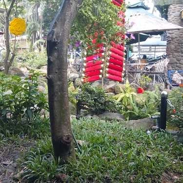 Tổng hợp- Amy Coffee 4 - Khổng Tử