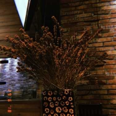Tổng hợp- An Coffee - Trịnh Văn Cấn