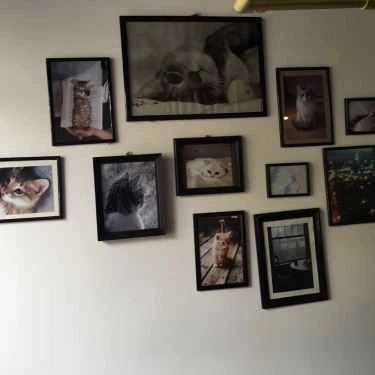Tổng hợp- An Phụng Cafe