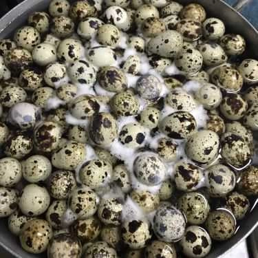 Món ăn- Ăn Vặt Bờ Kè - Trường Sa