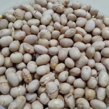 Tổng hợp- Ăn Vặt Kem Gà - Giao Hàng Tận Nơi