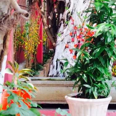 Tổng hợp- Anh Em Cafe - Đường số 1