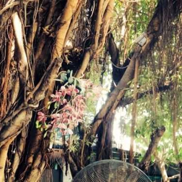 Tổng hợp- Anh Em Cafe - Đường số 1