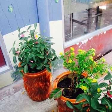 Tổng hợp- Anh Em Cafe - Đường số 1