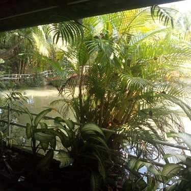 Tổng hợp- Ánh Linh Cafe