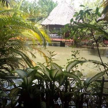 Tổng hợp- Ánh Linh Cafe