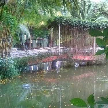 Không gian- Ánh Linh Cafe