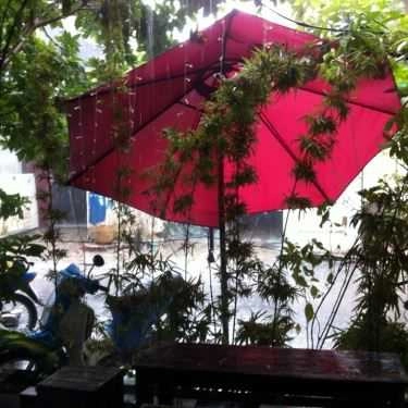 Không gian- Aroma Cafe - Đường Số 3