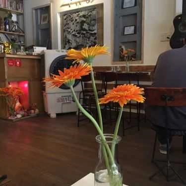 Tổng hợp- Art Coffee - Hoa Cúc