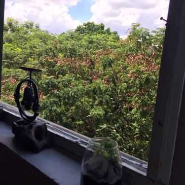 Tổng hợp- Art Space - Art & Coffee