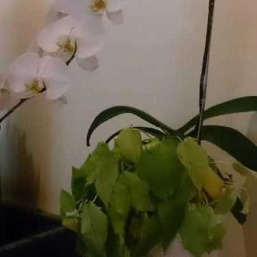 Tổng hợp- Cafe Ba Lá Trà - Trường Sơn