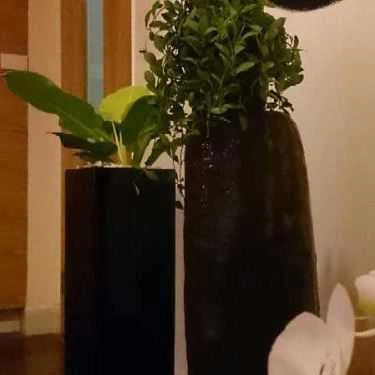 Tổng hợp- Cafe Ba Lá Trà - Trường Sơn