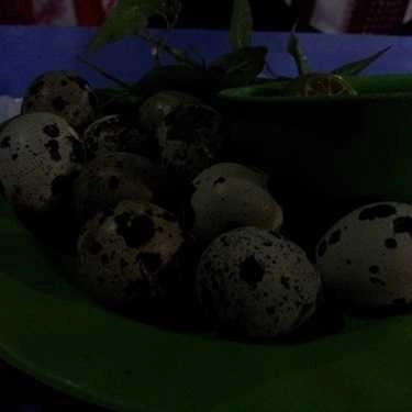 Món ăn- Ăn vặt Bạch Tuộc Nướng 193