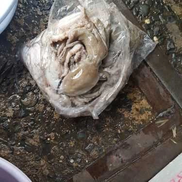 Tổng hợp- Bạch Tuộc - Quán Nhậu Bình Dân