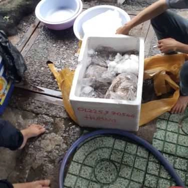 Tổng hợp- Bạch Tuộc - Quán Nhậu Bình Dân