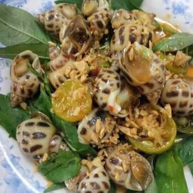 Tổng hợp- Bạch Tuộc - Quán Nhậu Bình Dân