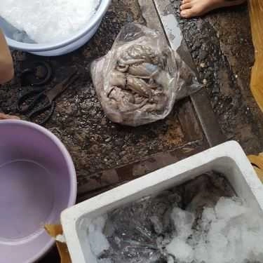 Tổng hợp- Bạch Tuộc - Quán Nhậu Bình Dân