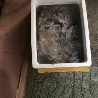 Tổng hợp- Bạch Tuộc - Quán Nhậu Bình Dân