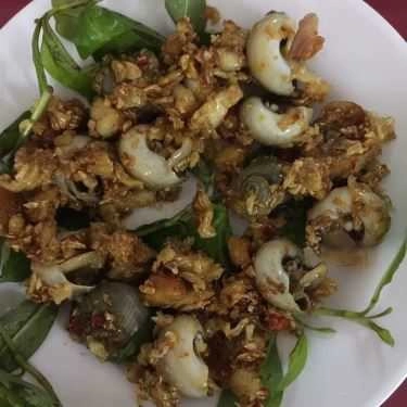 Tổng hợp- Bạch Tuộc - Quán Nhậu Bình Dân