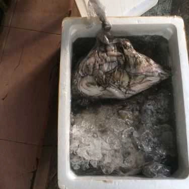 Tổng hợp- Bạch Tuộc - Quán Nhậu Bình Dân