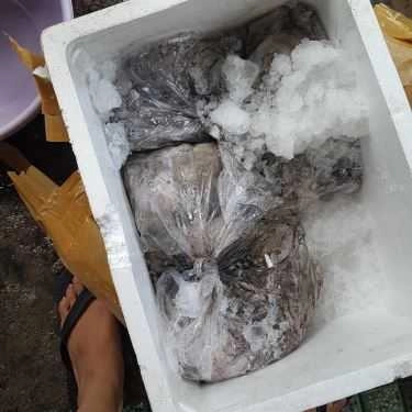 Tổng hợp- Bạch Tuộc - Quán Nhậu Bình Dân
