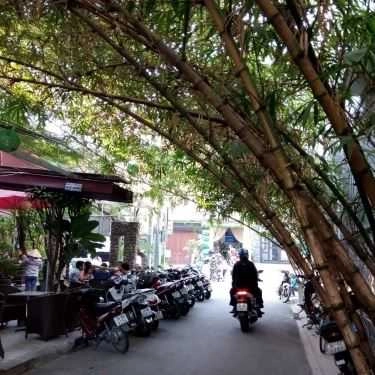 Tổng hợp- Ban Mai Cafe