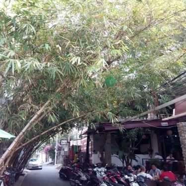Tổng hợp- Ban Mai Cafe