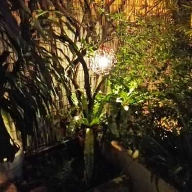 Tổng hợp- Bản Sonate Cafe
