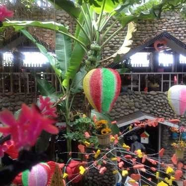 Tổng hợp- Bằng Lăng Tím Cafe