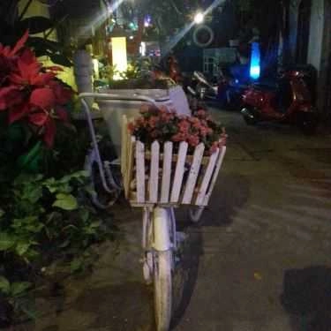 Tổng hợp- Bằng Lăng Tím Cafe