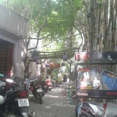 Tổng hợp- Bằng Lăng Tím Cafe