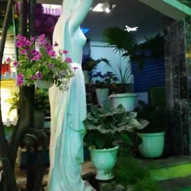 Tổng hợp- Bằng Lăng Tím Cafe