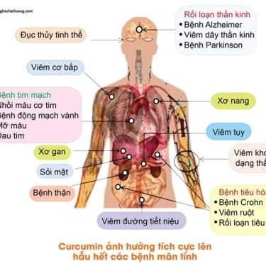 Tổng hợp- Ăn vặt Bánh Bột Lọc & Bánh Nậm Huế