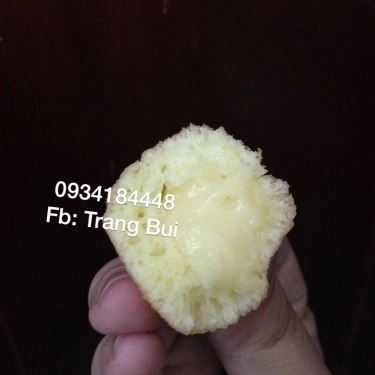Tổng hợp- Ăn vặt Delimanjoo - Bánh Bắp Kem Bơ