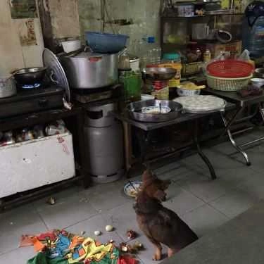 Tổng hợp- Ăn vặt Bánh Đúc & Bánh Bột Lọc