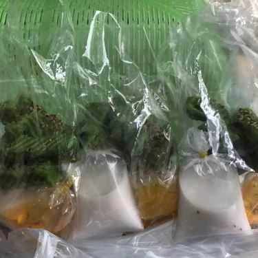 Món ăn- Ăn vặt Bánh Đúc Ngọt - Nguyễn Đình Chiểu