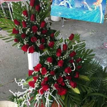 Tổng hợp- Tiệm Bánh Bánh Kem Tâm Thịnh Phát