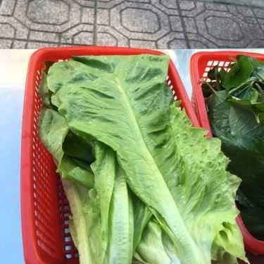 Tổng hợp- Ăn vặt Bánh Khọt & Bánh Mì Hấp