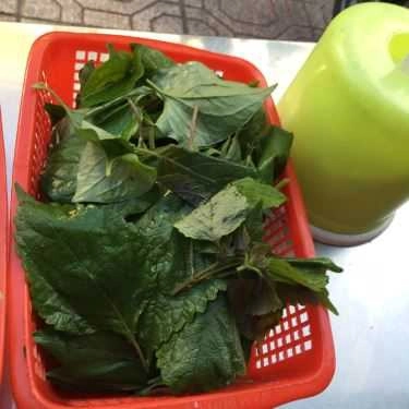Tổng hợp- Ăn vặt Bánh Khọt & Bánh Mì Hấp