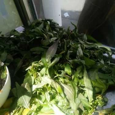Tổng hợp- Ăn vặt Bánh Mì - Chả Cá & Heo Quay