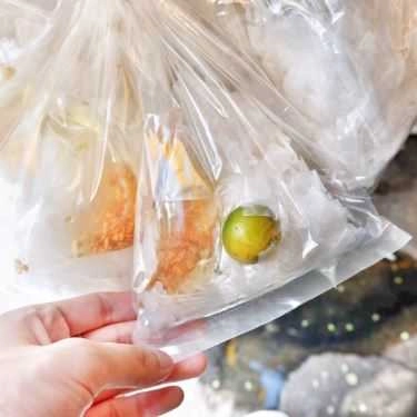 Tổng hợp- Ăn vặt Bánh Tráng 2A Lê Trực
