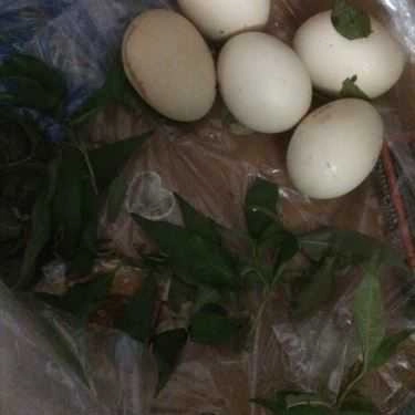Tổng hợp- Ăn vặt Bánh Tráng Chấm Chị Hai