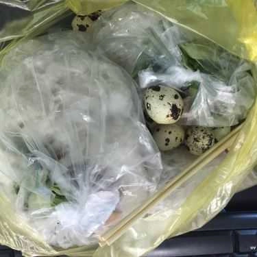 Tổng hợp- Ăn vặt Bánh Tráng Chấm - Chung Cư Phan Xích Long
