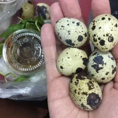 Tổng hợp- Ăn vặt Bánh Tráng Chấm - Chung Cư Phan Xích Long
