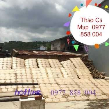 Tổng hợp- Bánh Tráng Nướng Mắm Ruốc Đà Lạt - Shop Online